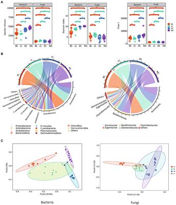 Deterministic processes influence bacterial more than fungal community assembly during the development of biological soil crusts in the desert ecosystem